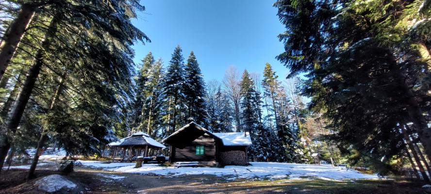 Gozdarska koča Rdeča luža