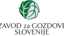 Odlov dveh samic rjavega medveda za doselitev v Francijo je izpeljan