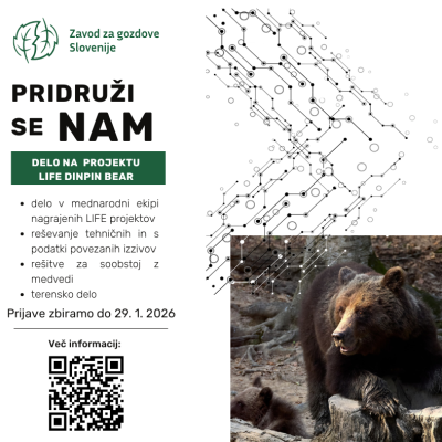 Zaposlitev na projektu Life Dinpin Bear